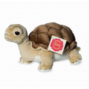 Schildkröte